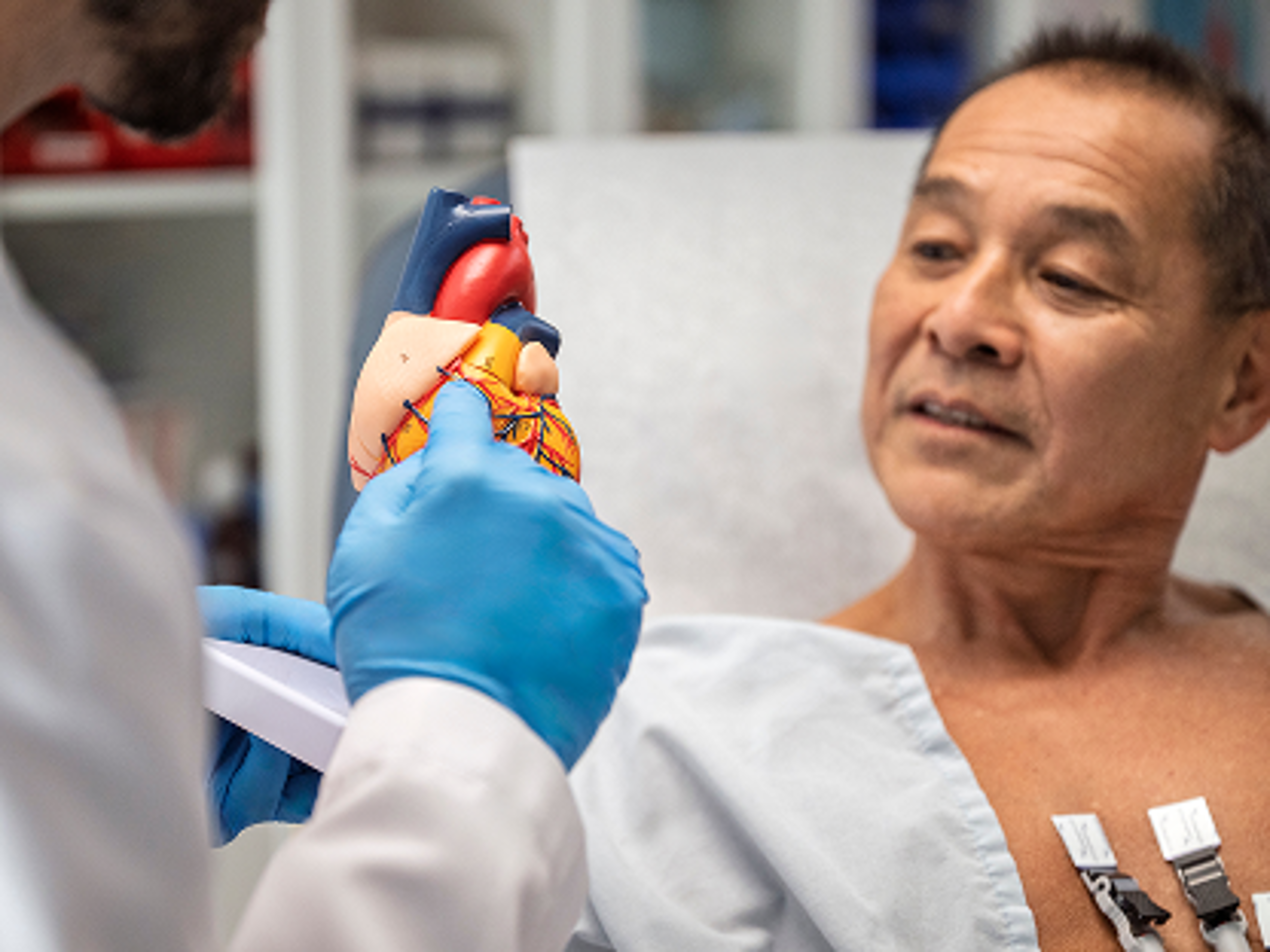 A patient looking at an anatomical heart model.