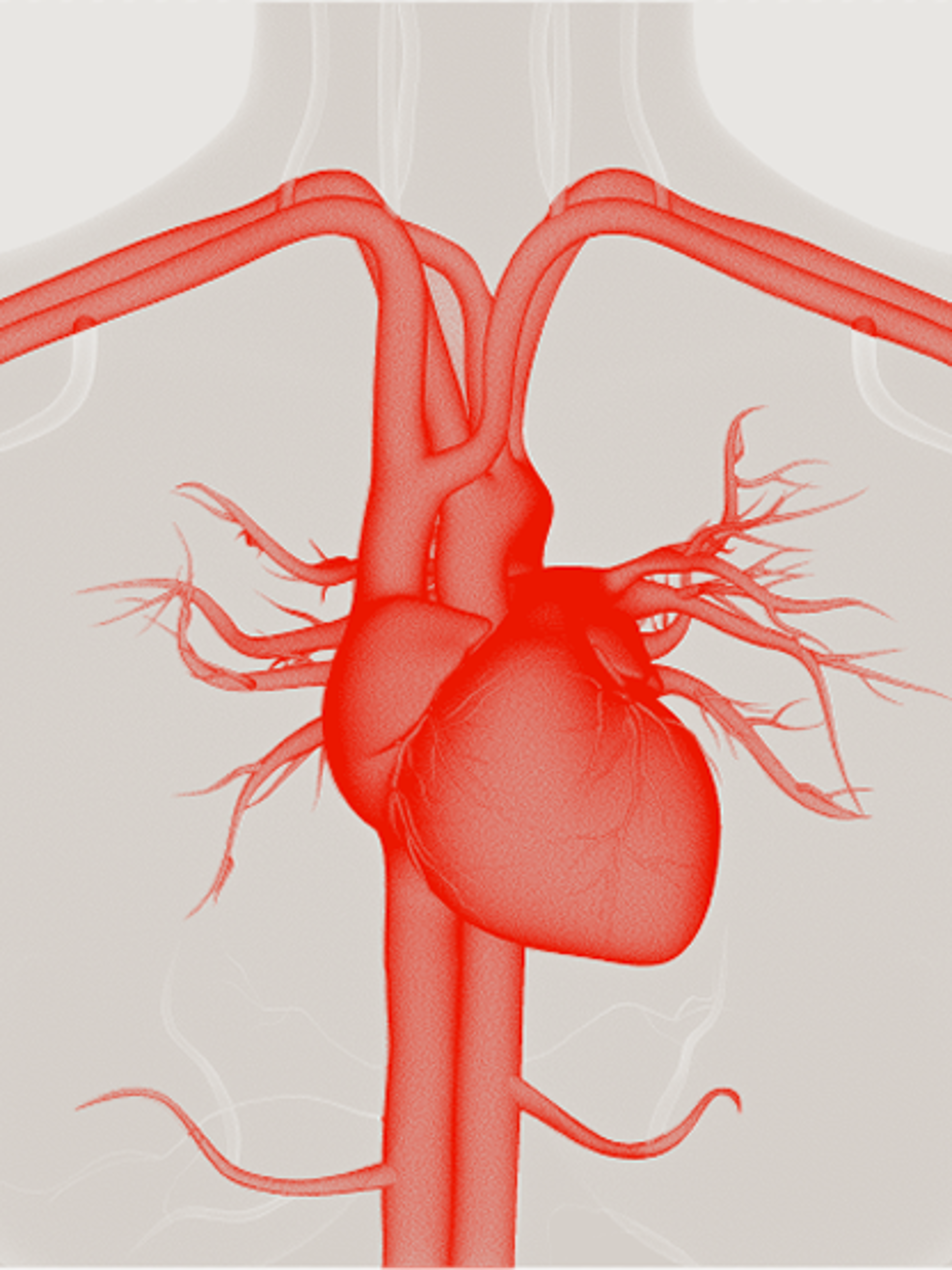 Electrophysiology
