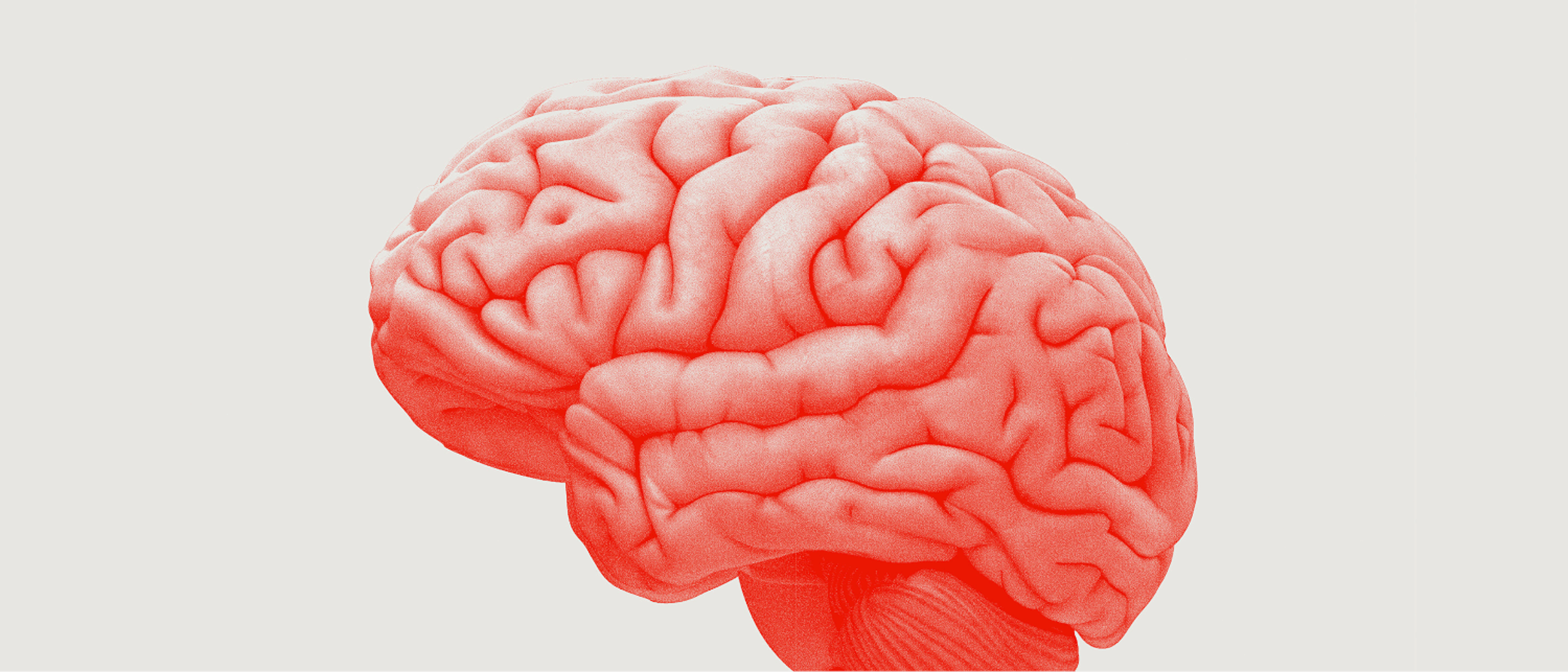Illustration of brain