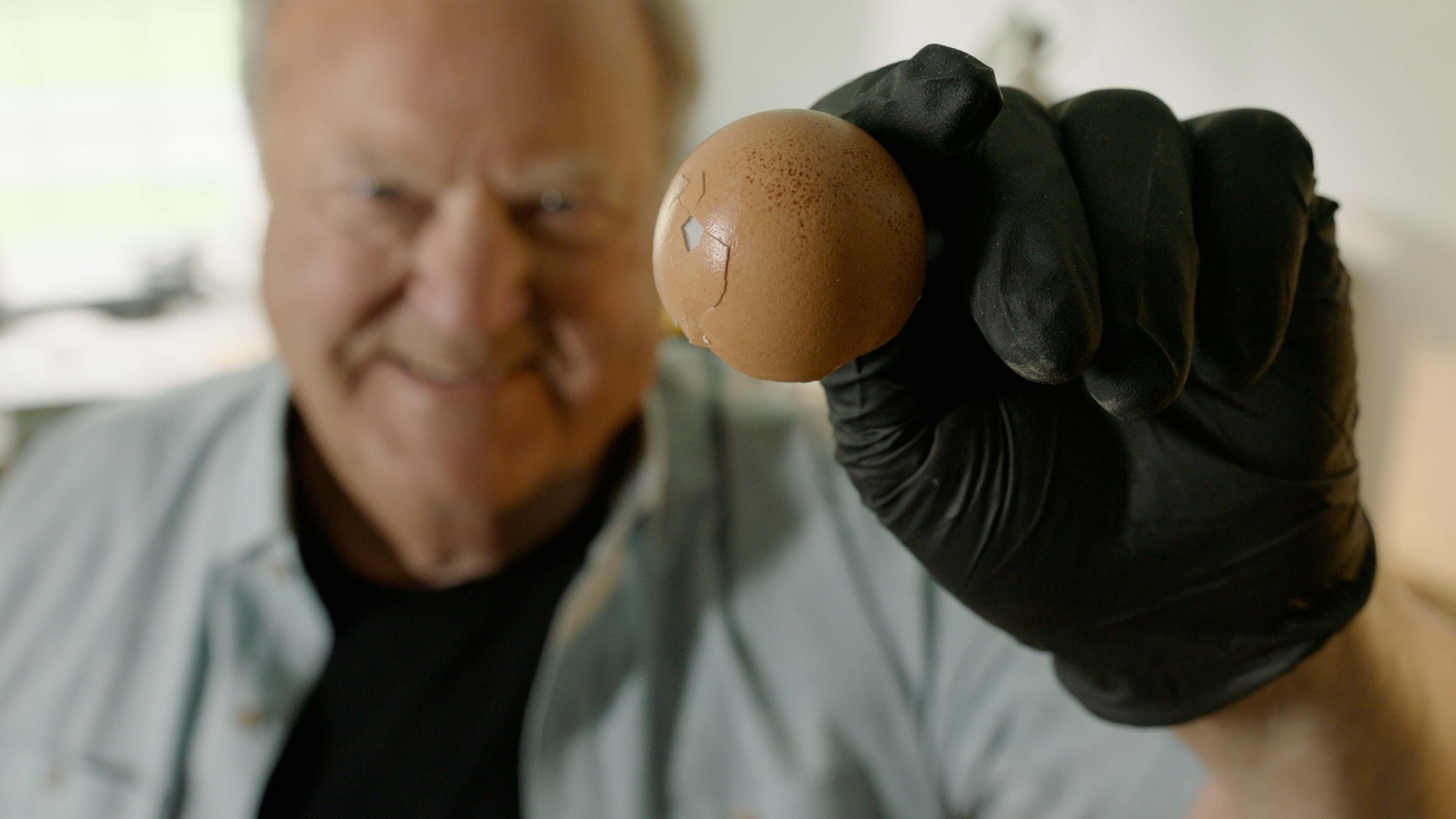 John Adams holding up a cracked eggshell, the proof-of-concept demonstration that led to the invention of intravascular lithotripsy (IVL)