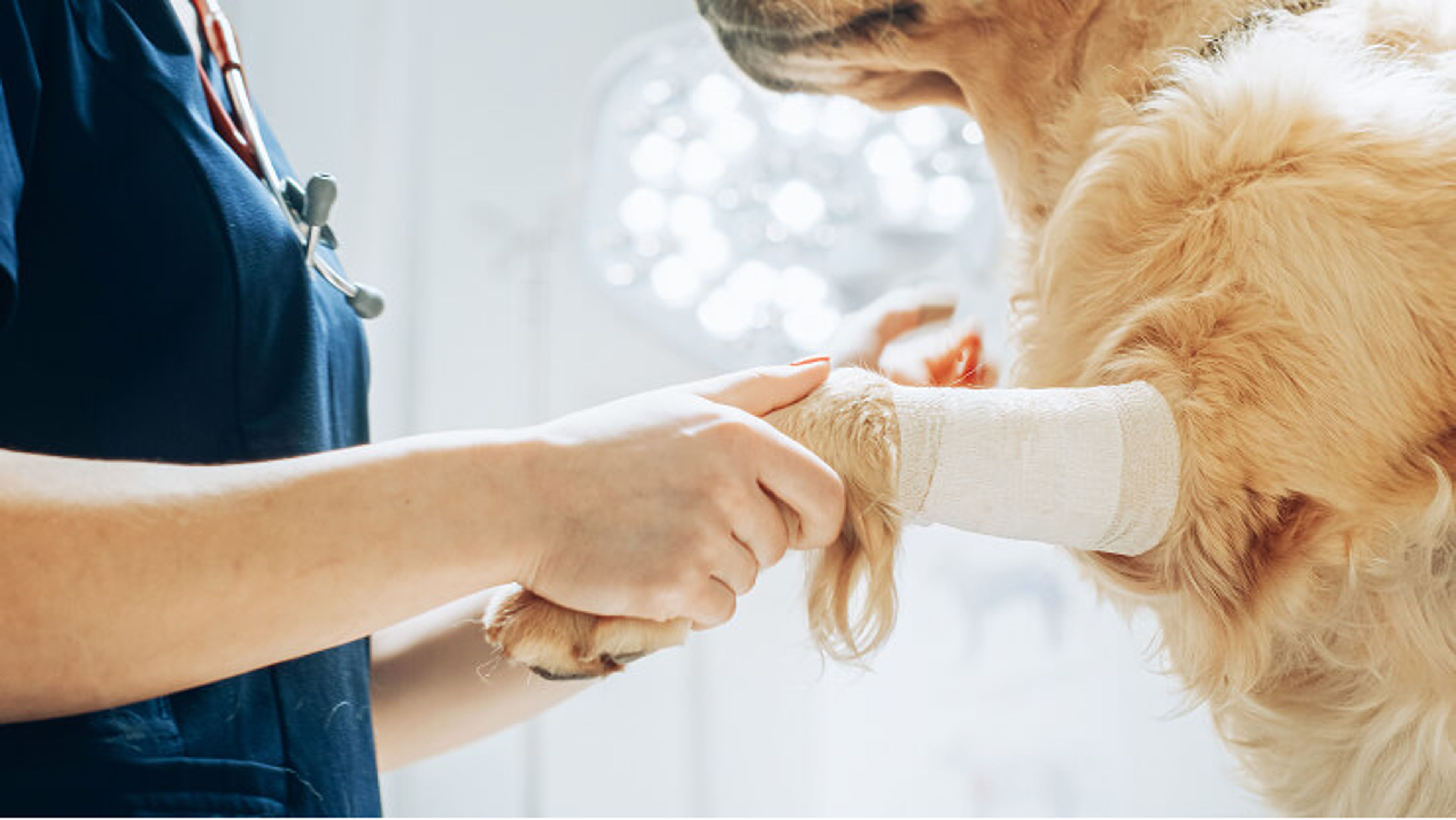 Smoother recovery starts with the right suture
