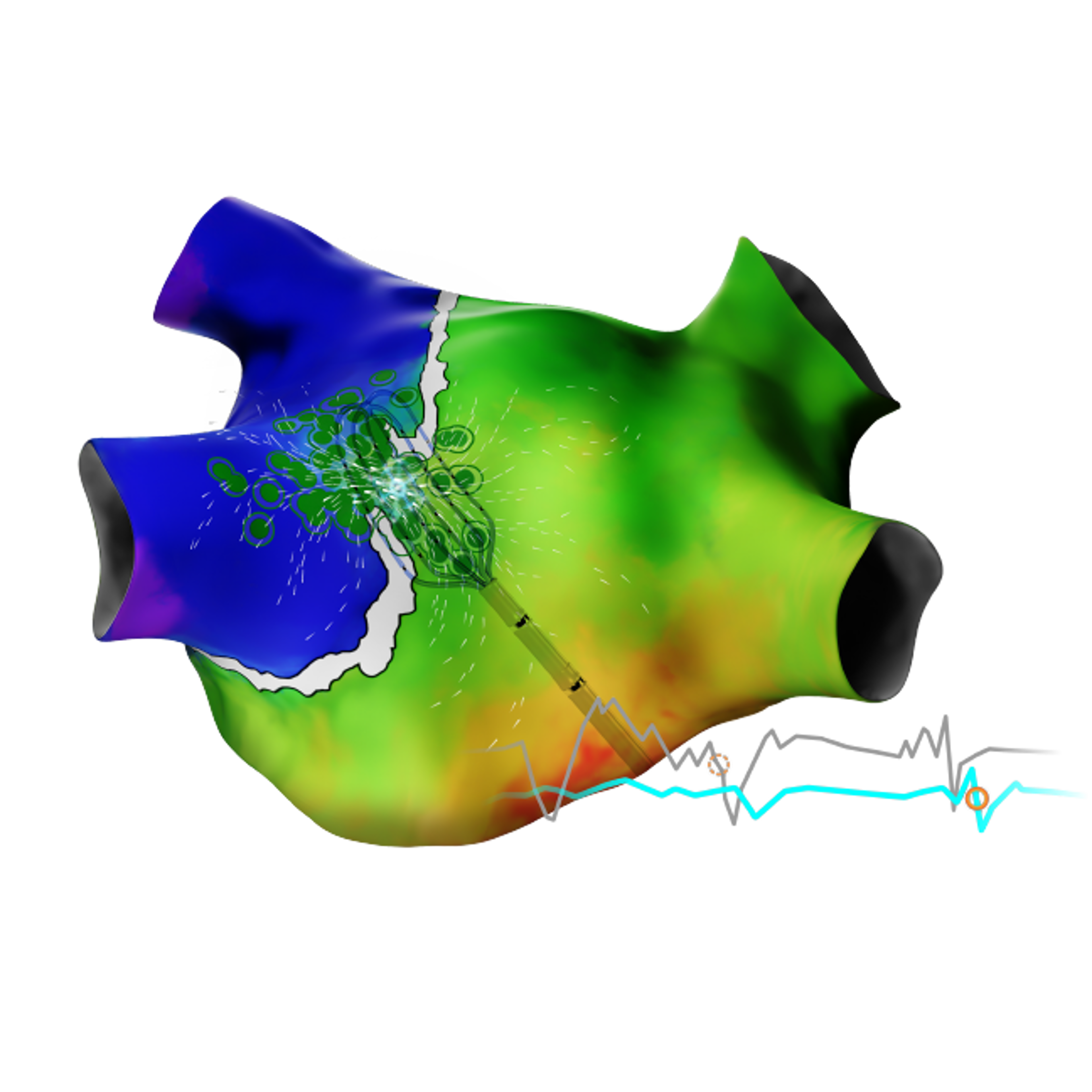 CARTO ELEVATE™ Module