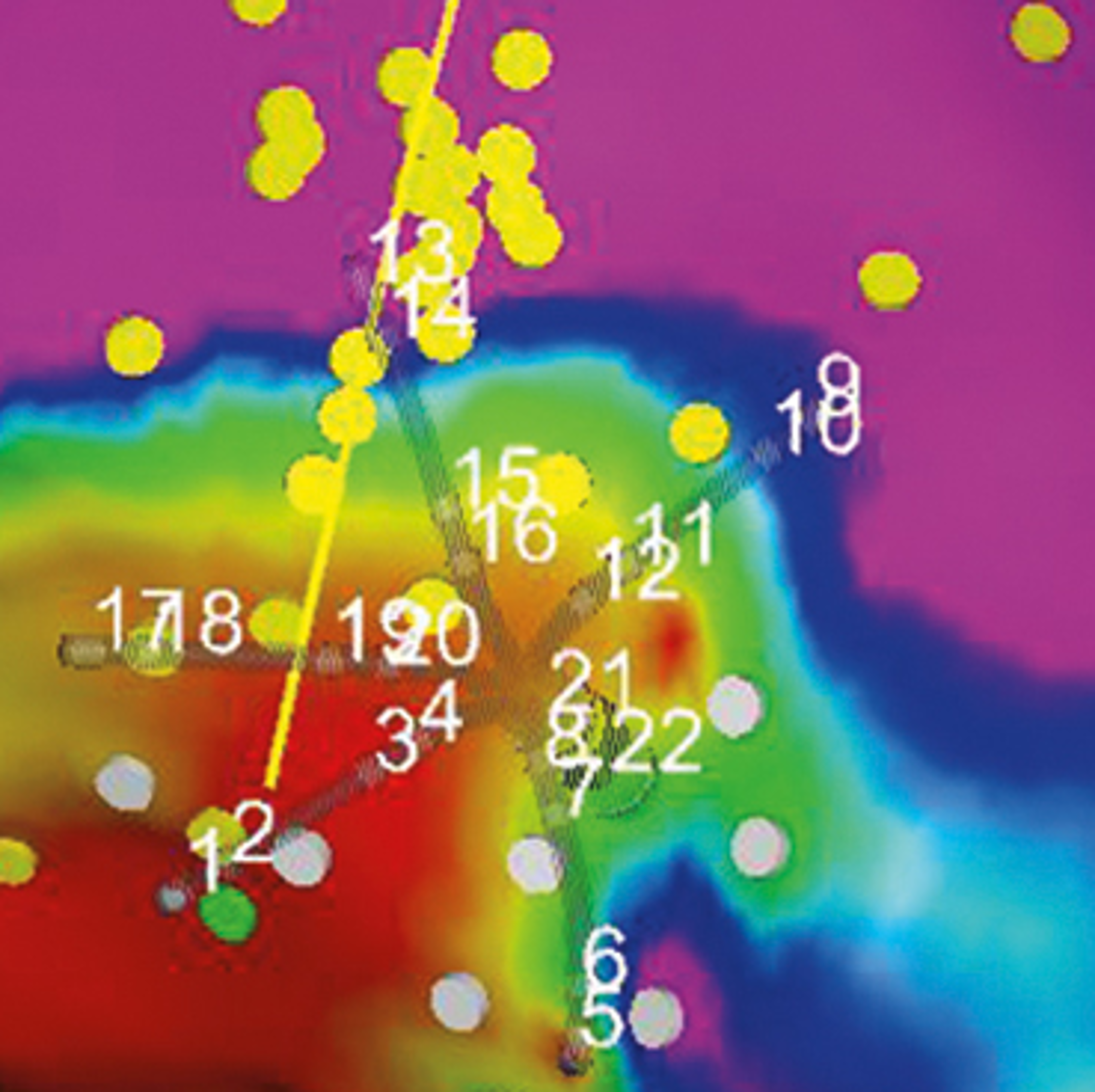 Pace mapped signal (PM)