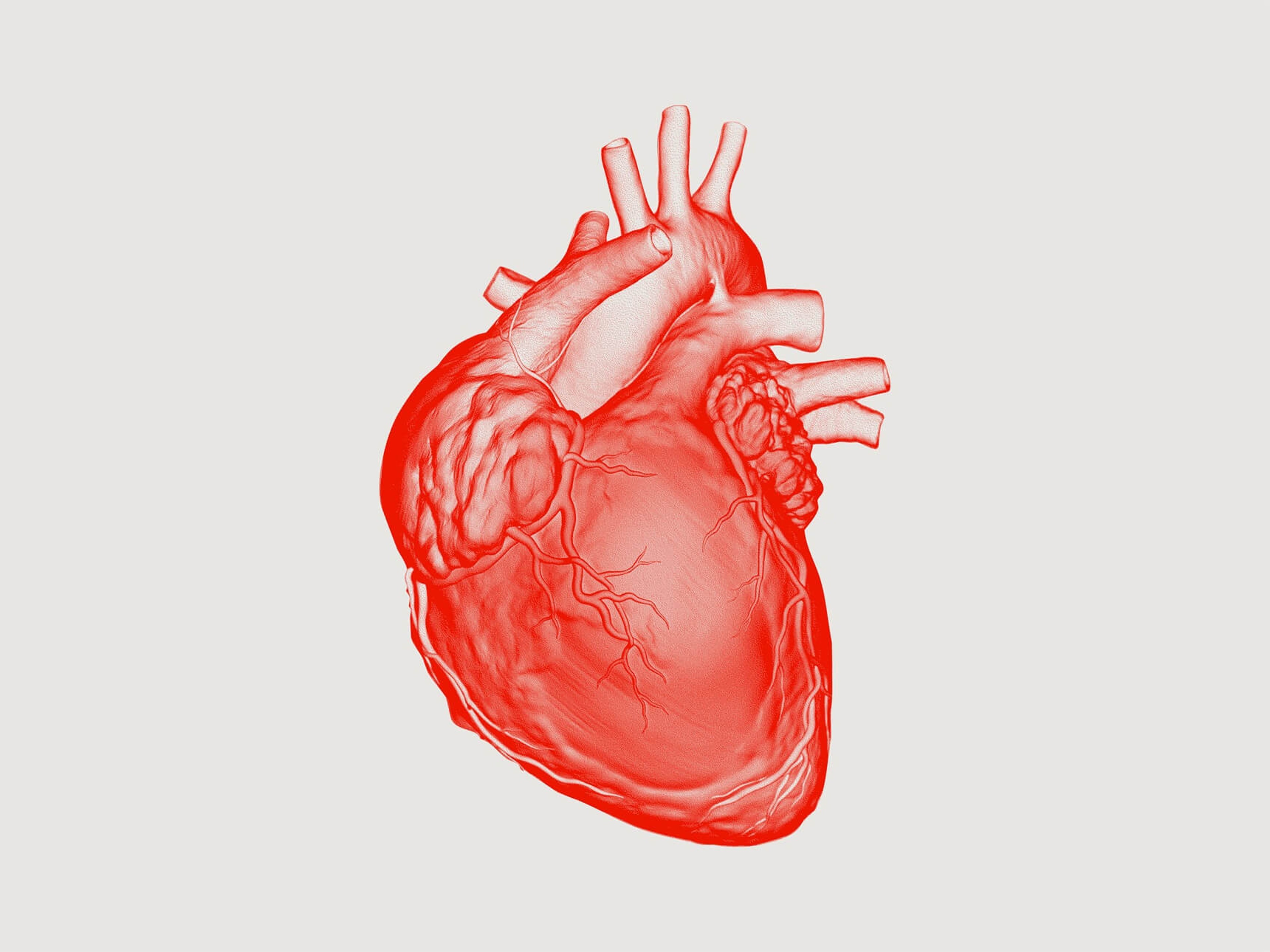 Cardiovascular