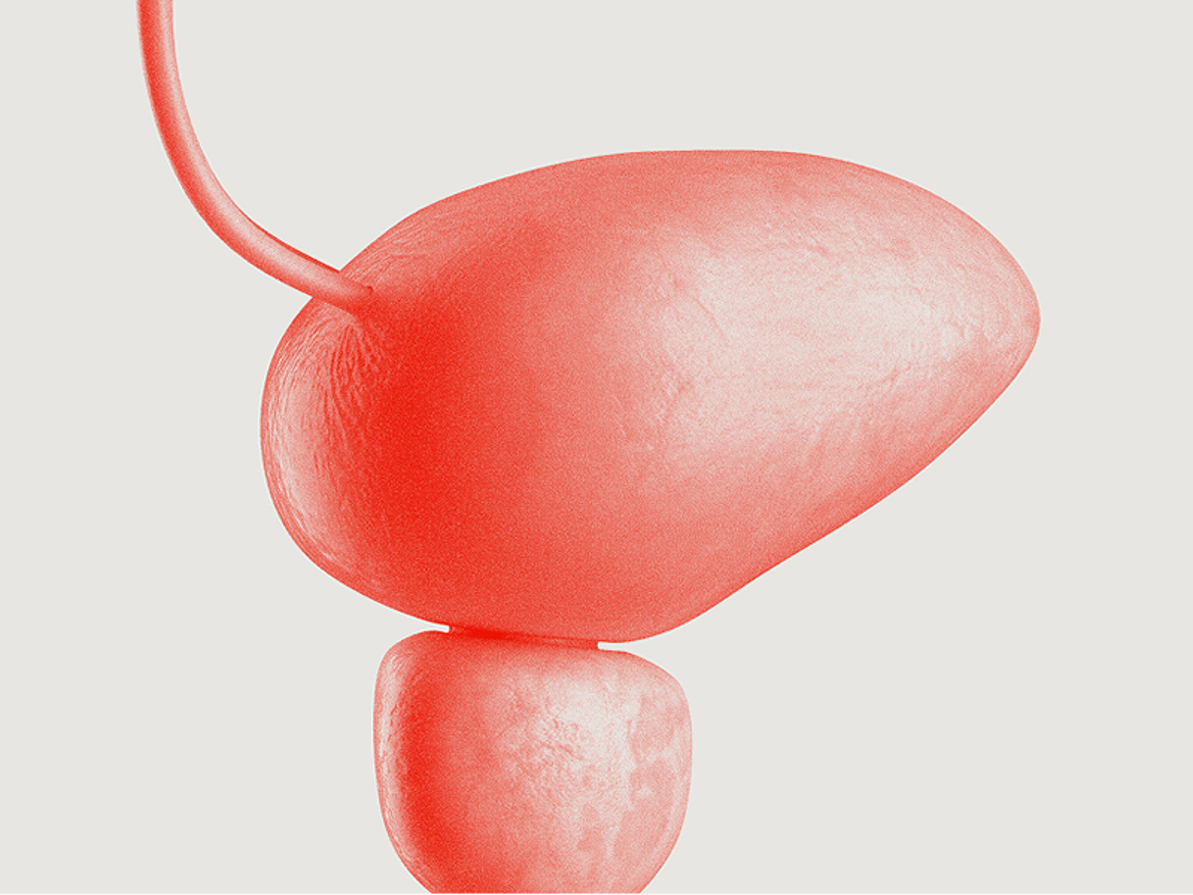 Urology