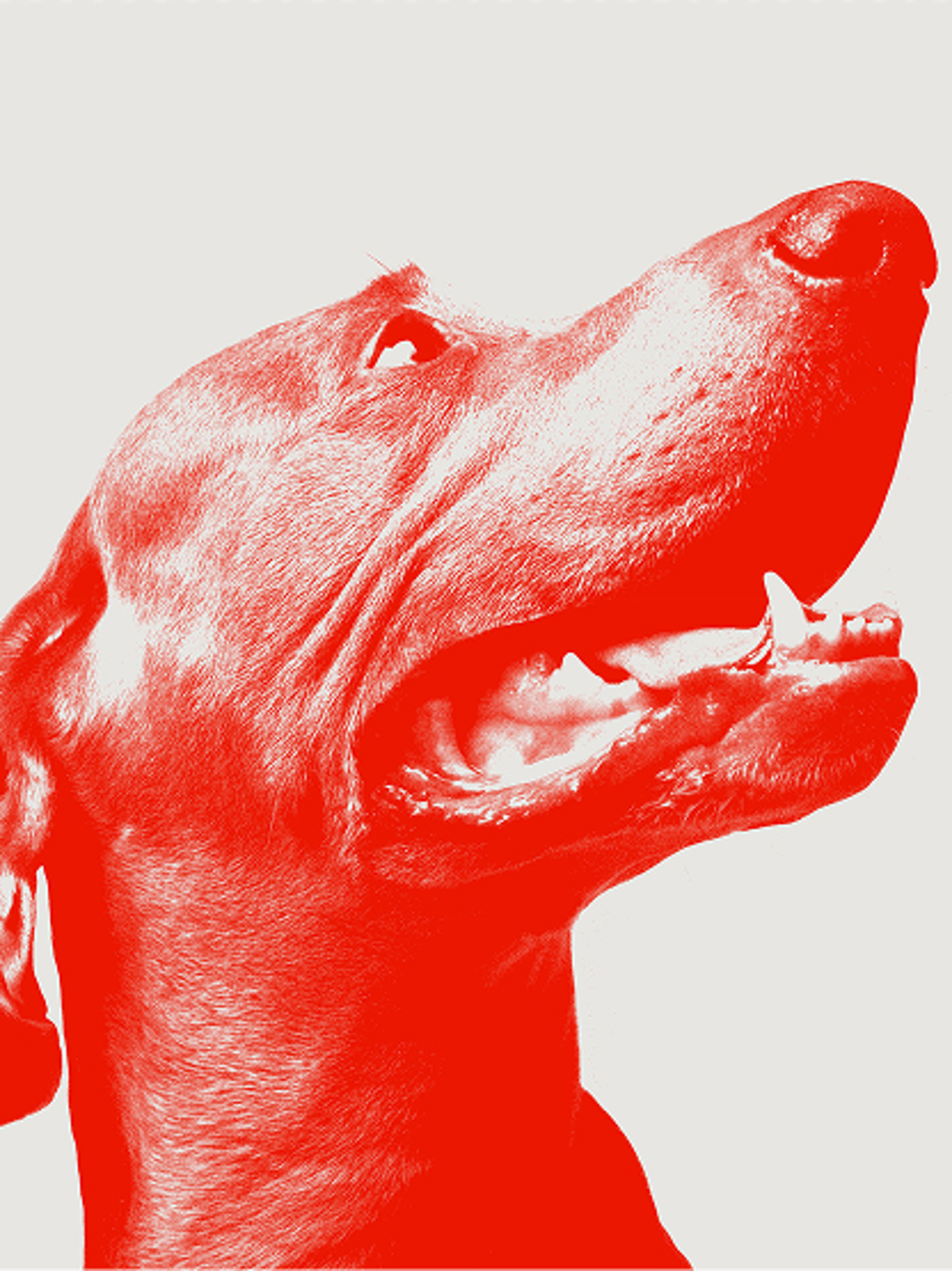 Veterinary