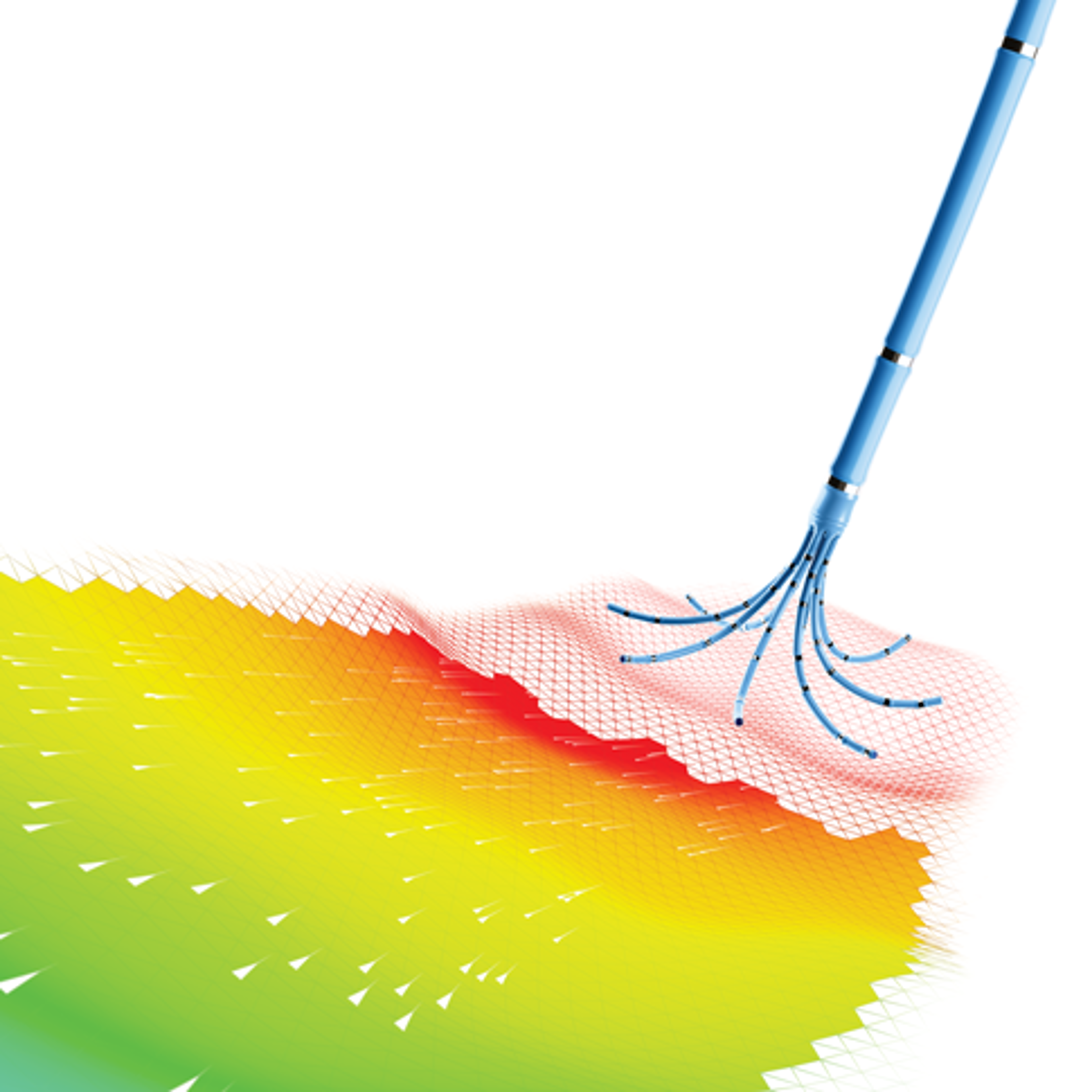 A stylized visualization shows the OCTARAY™ Mapping Catheter with multiple flexible spline arms contacting a surface overlaid with a color gradient mesh.