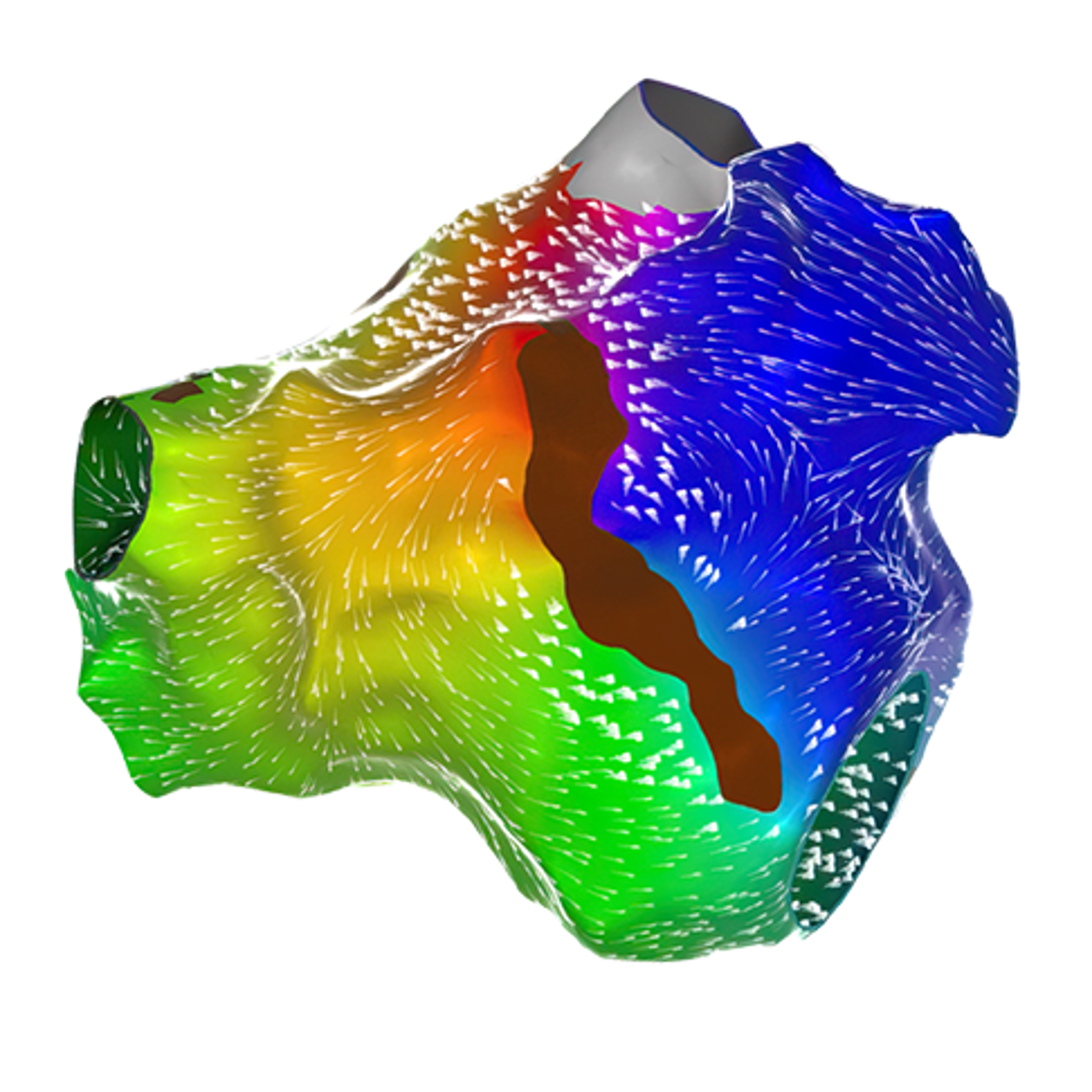 CARTO PRIME™ Module