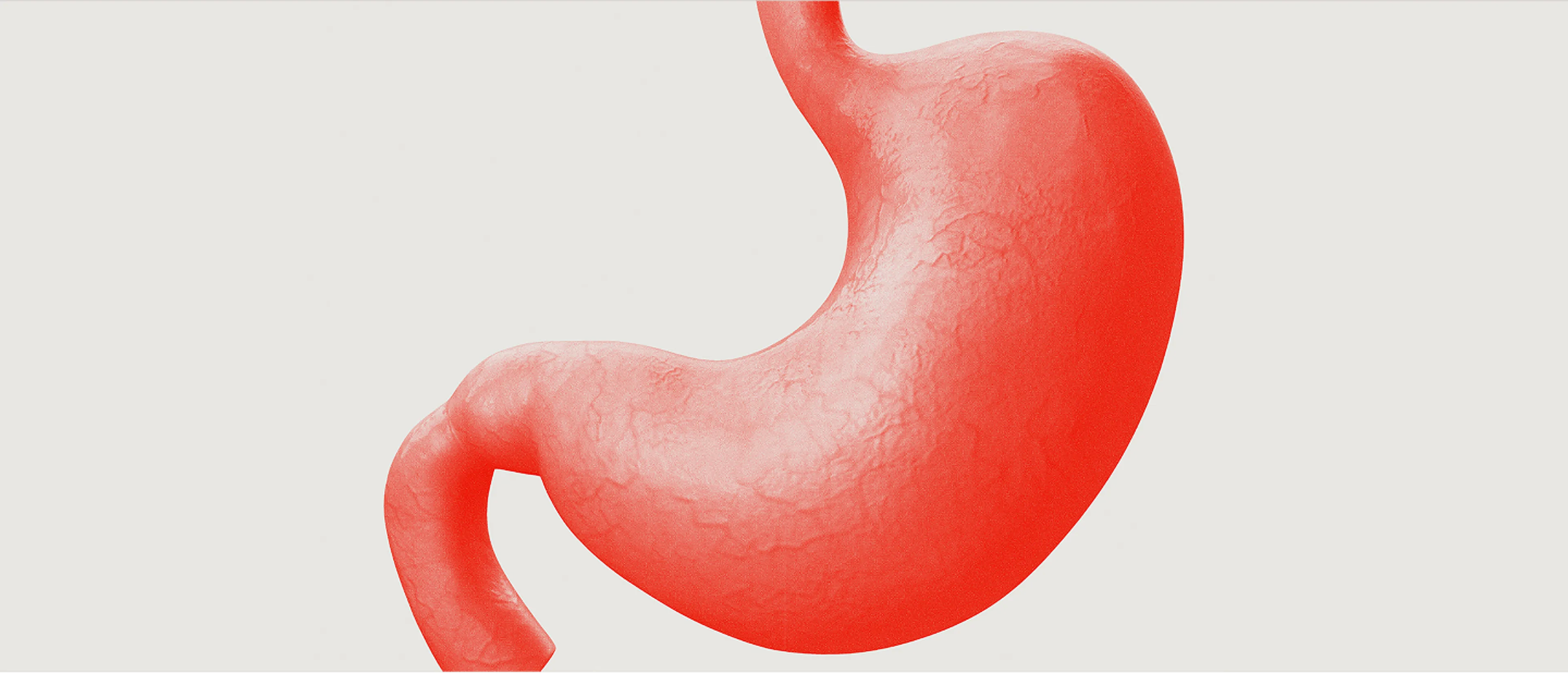An image of a stomach