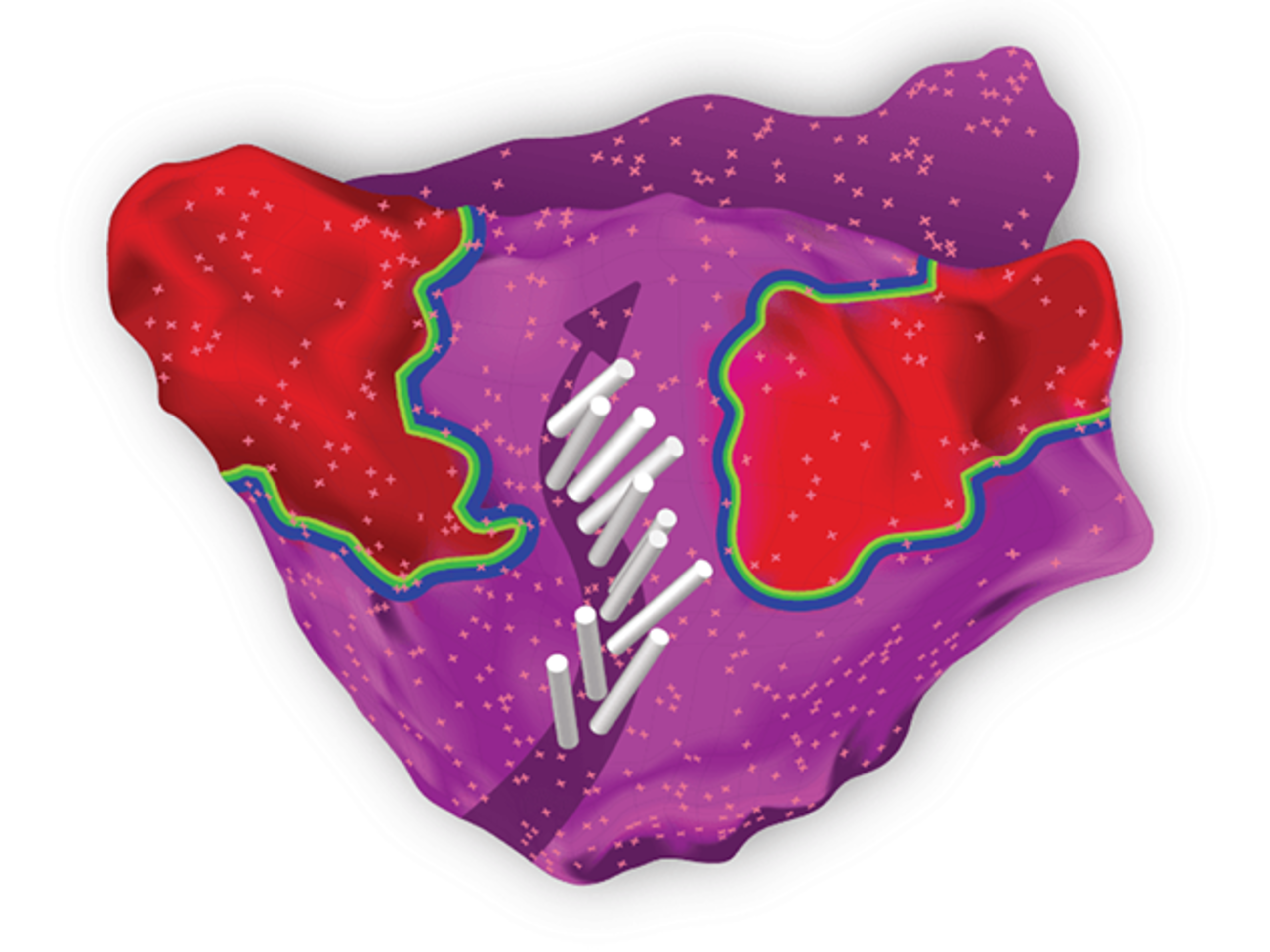 An image of ripple mapping