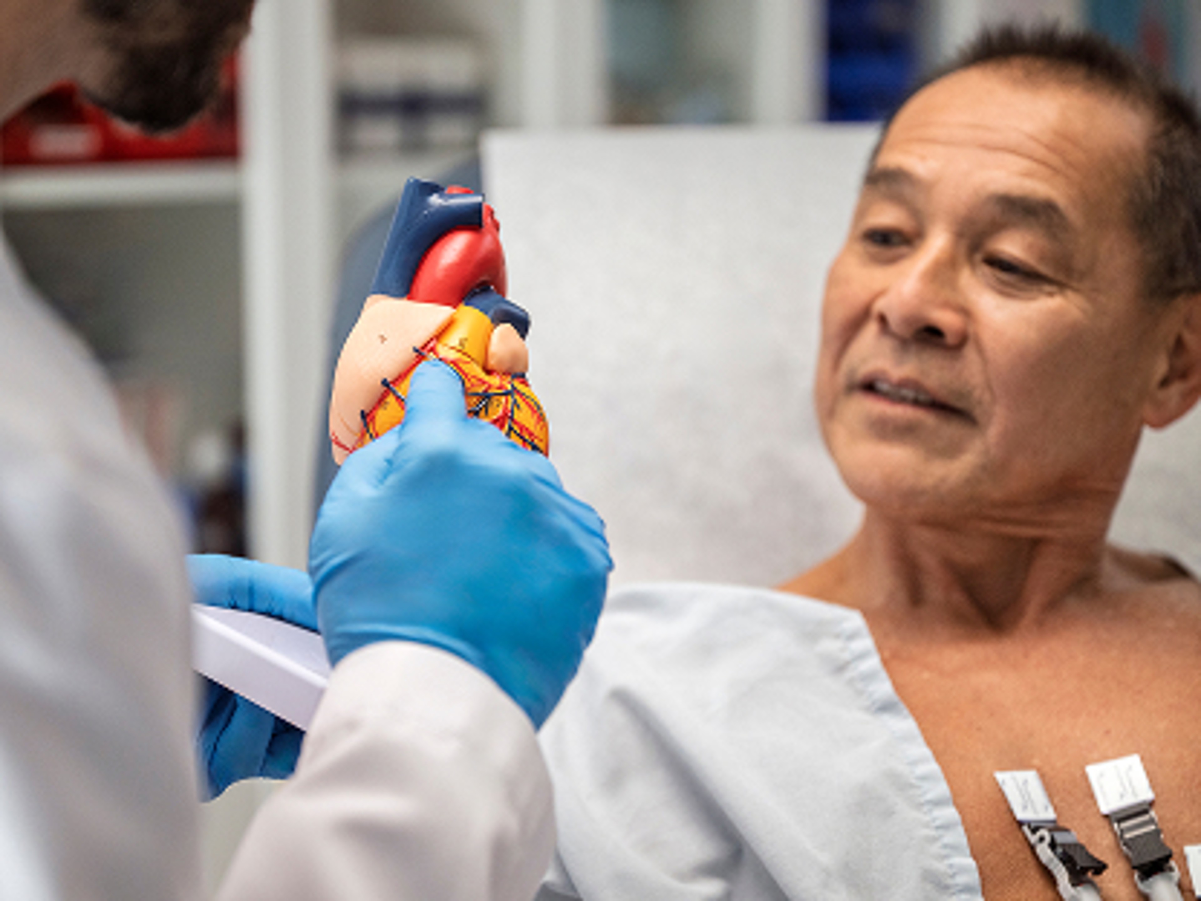 A patient looking at an anatomical heart model.