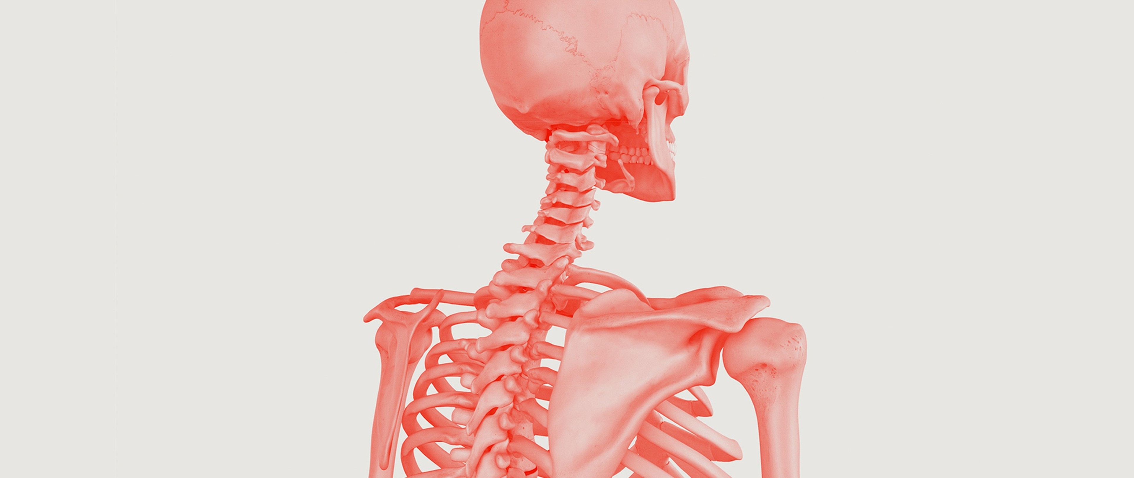 spine and orthopaedic solutions