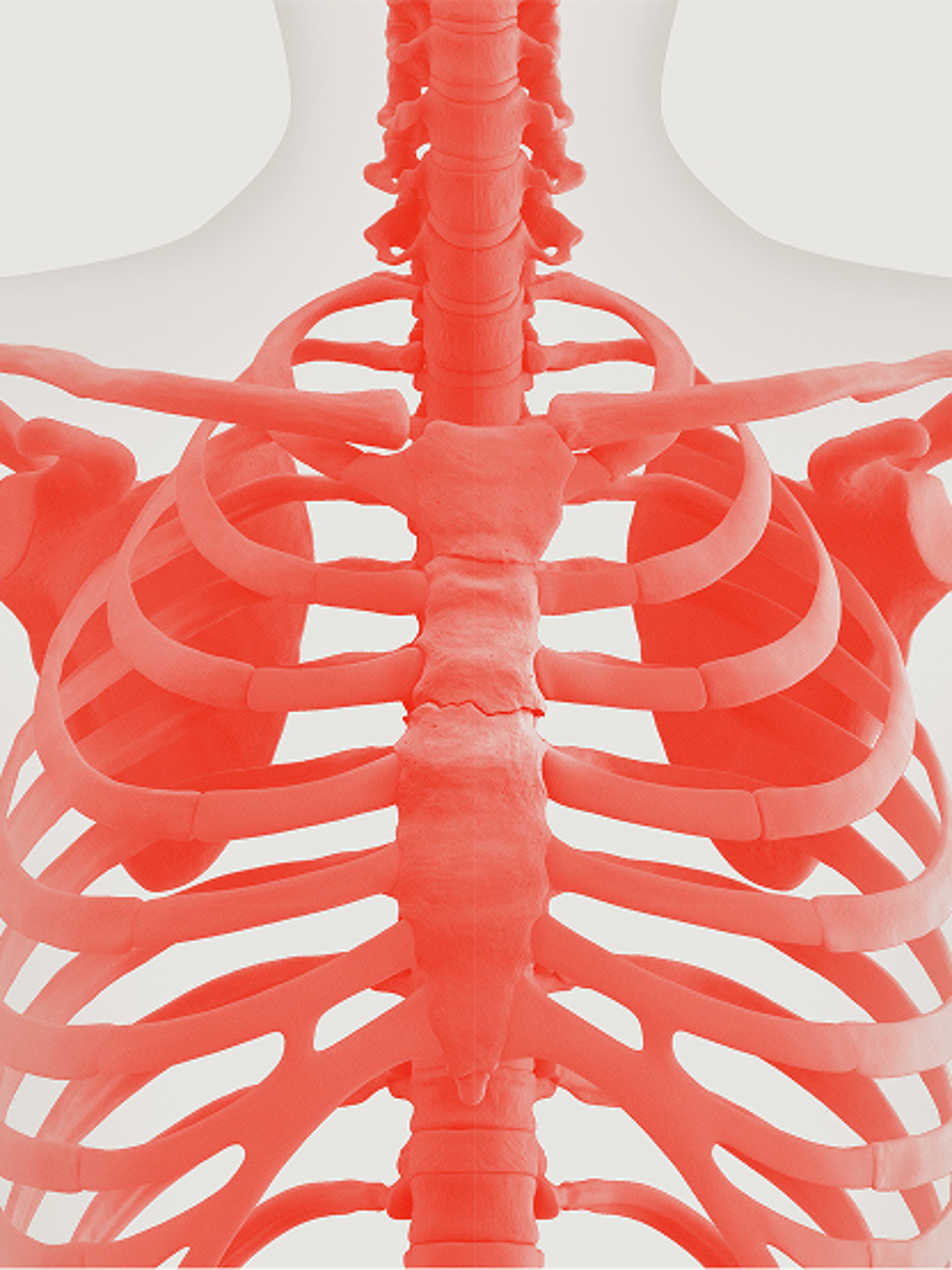 Thoracic