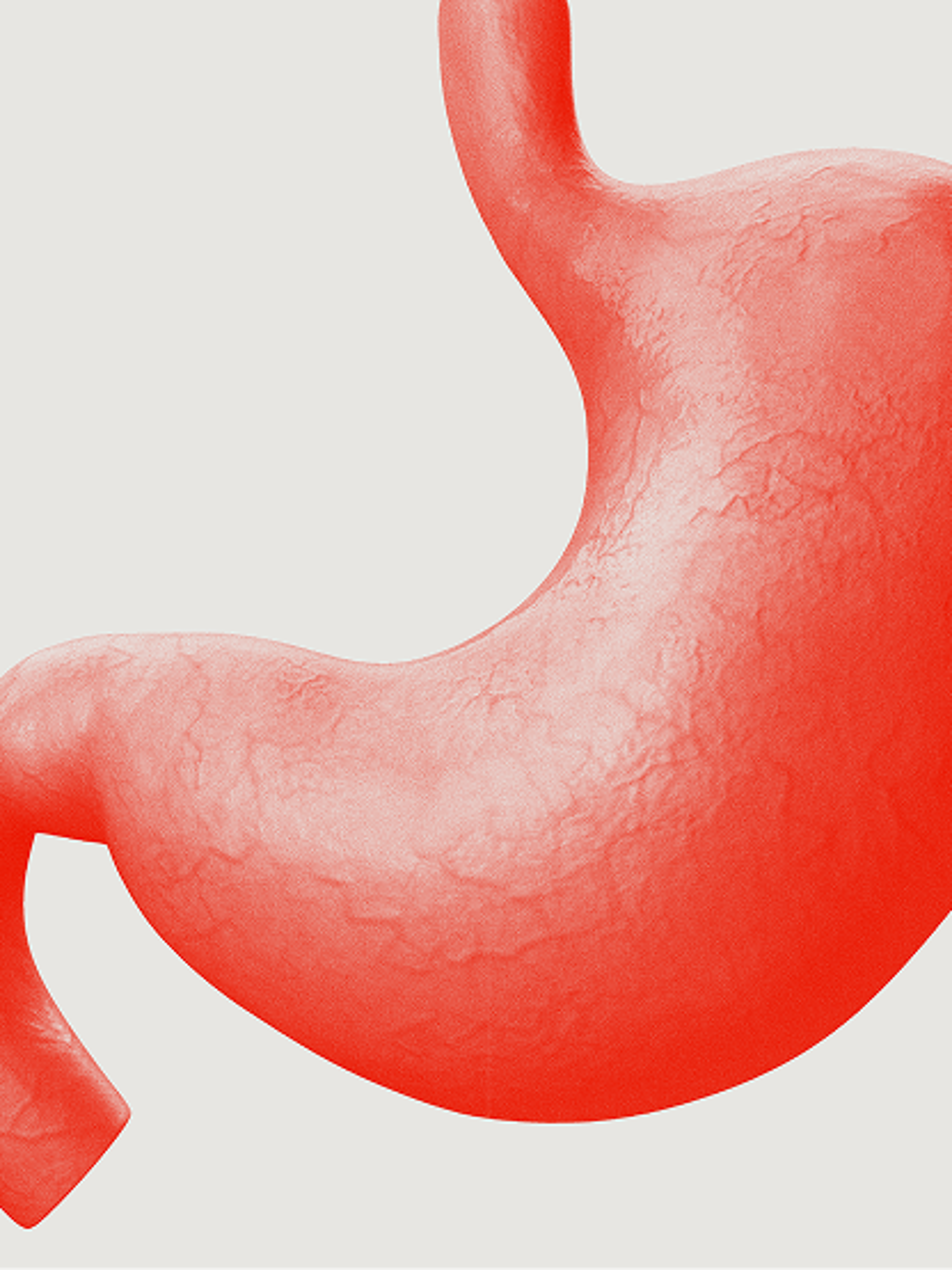 An image of a human stomach