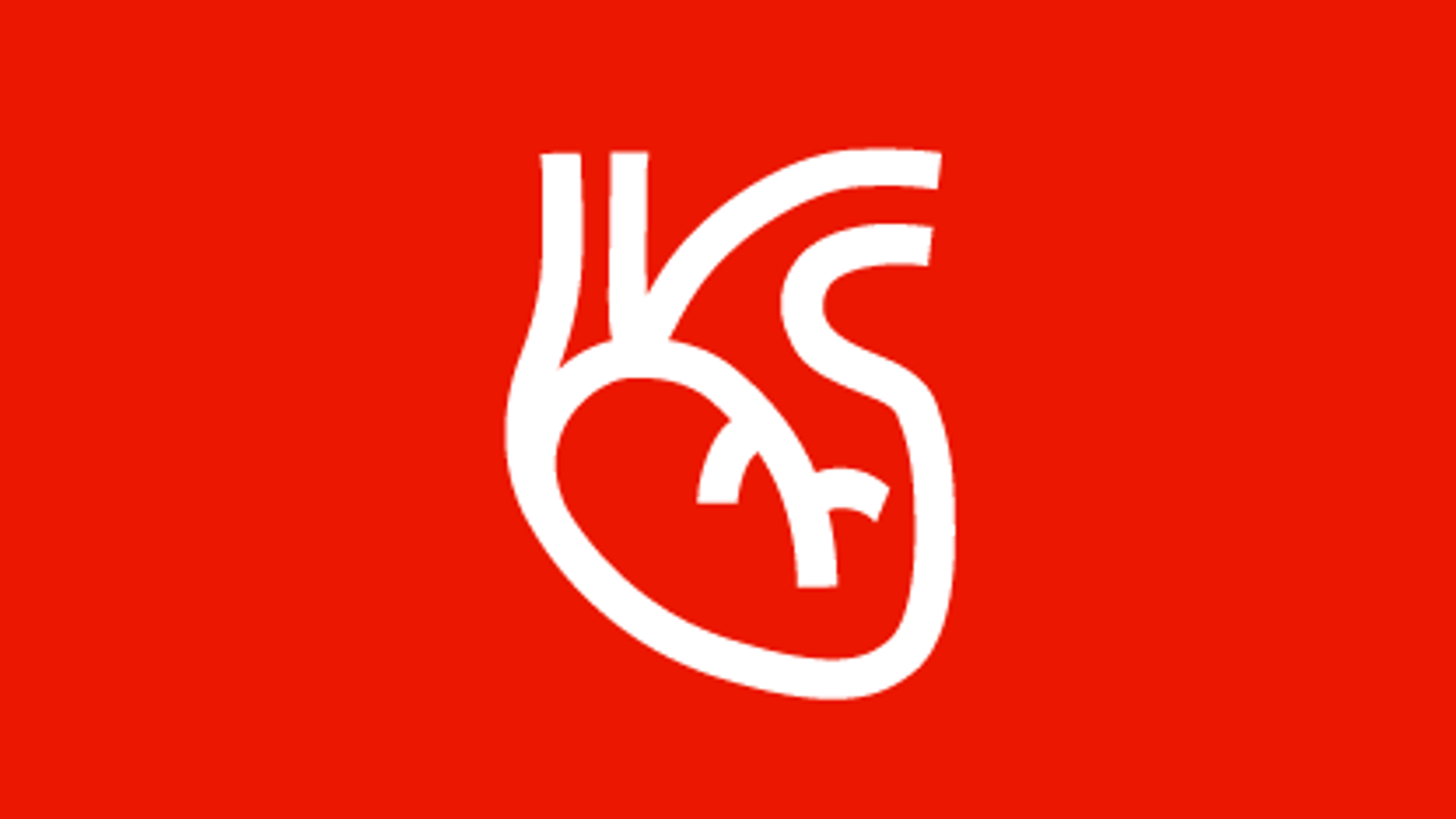 Heart anatomy icon