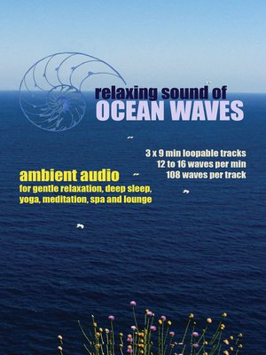 Relaxing Sound of Ocean Waves