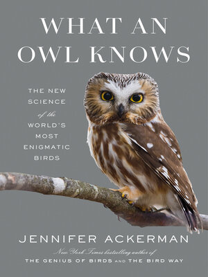 what_an_owl_knows.jfif