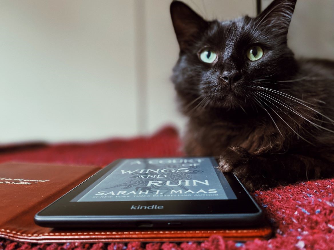 Black cat sits next to a Kindle