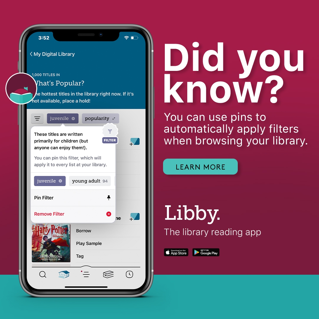 You can use pins to automatically apply filters when browsing Libby.