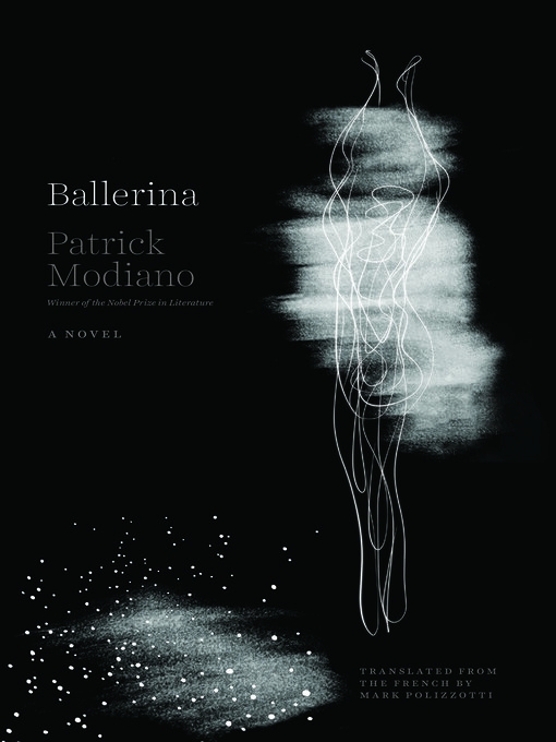 A minimalist, dark-toned book cover with the title 