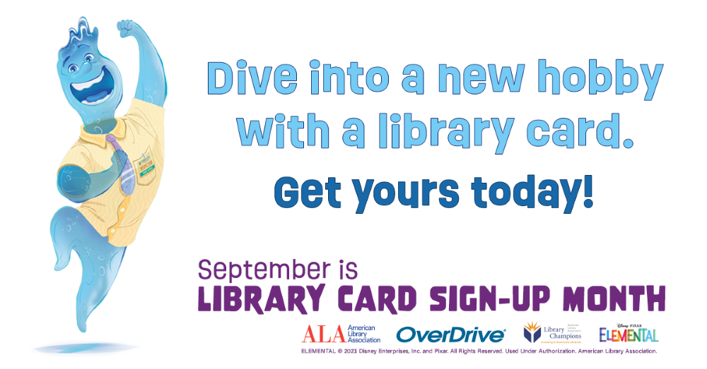 Dive into a new hobby with a library card.