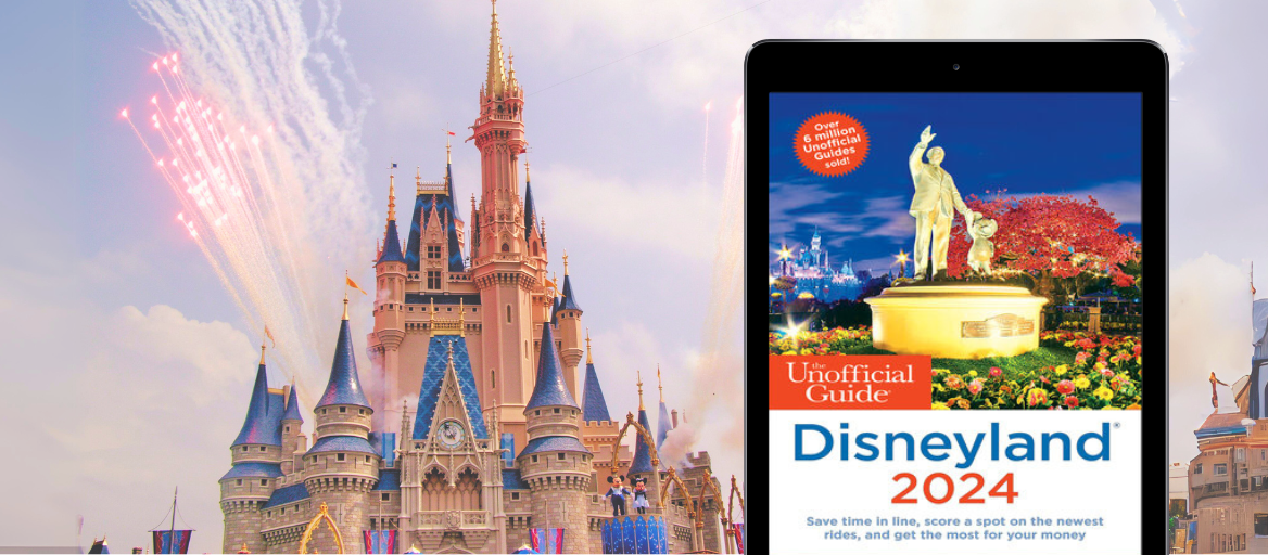 Little Black Book of Walt Disney World: The Essential Guide to All the  Magic (Travel Guide)