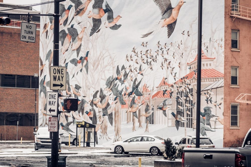 Mural of a flock of birds on a public building in Cincinnati, Ohio