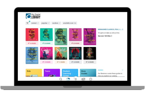 Libby App Review: Read Every Book on Your Wishlist for Free