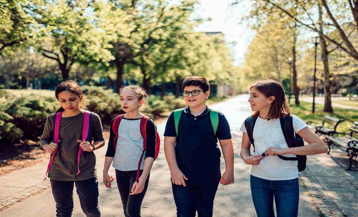 clases ingles primaria