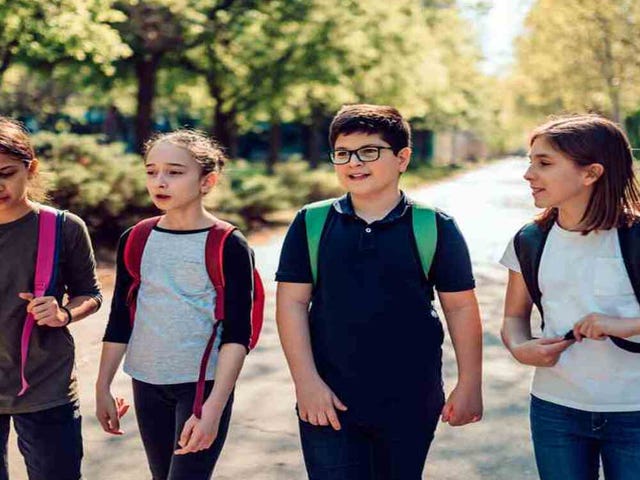 clases ingles primaria