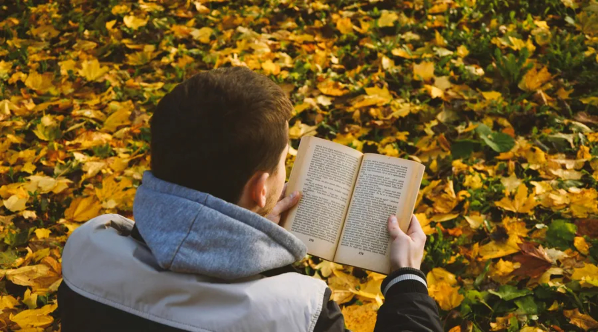 Géneros literarios en inglés