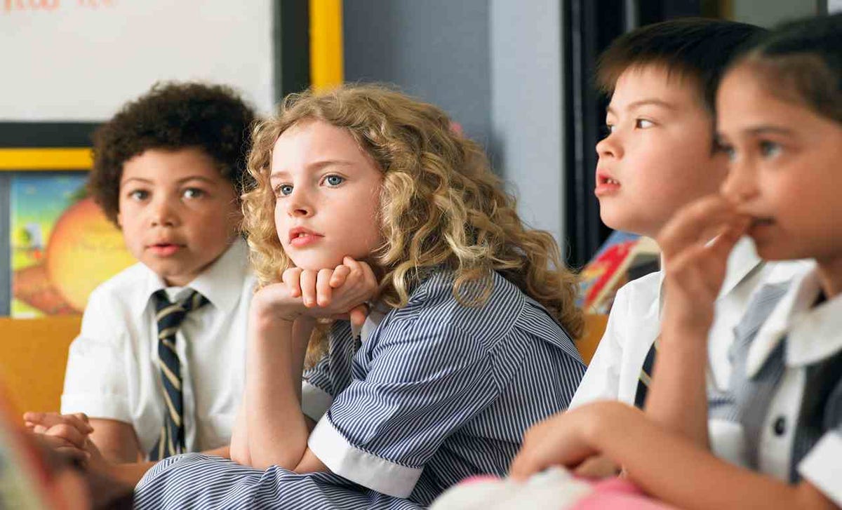 programa para escuelas