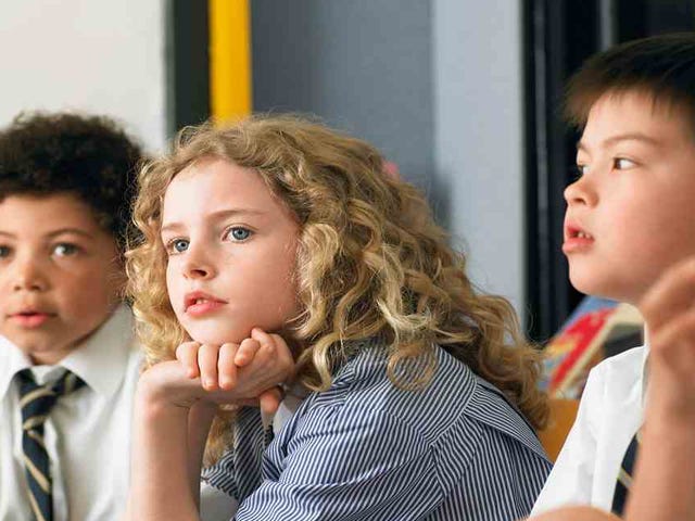 programa para escuelas