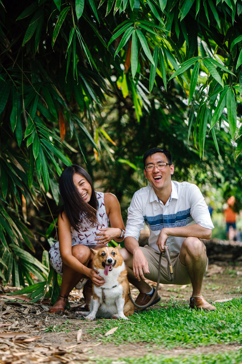 man and woman laughing squatted next to corgi with tongue out