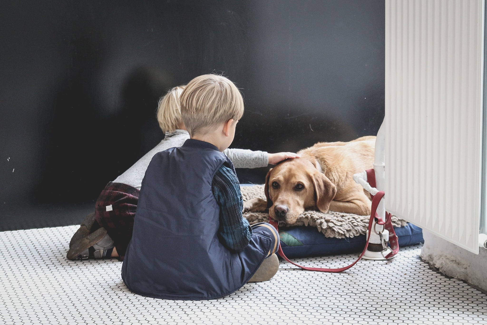 two blonde boys sitting with old dog laying on tile