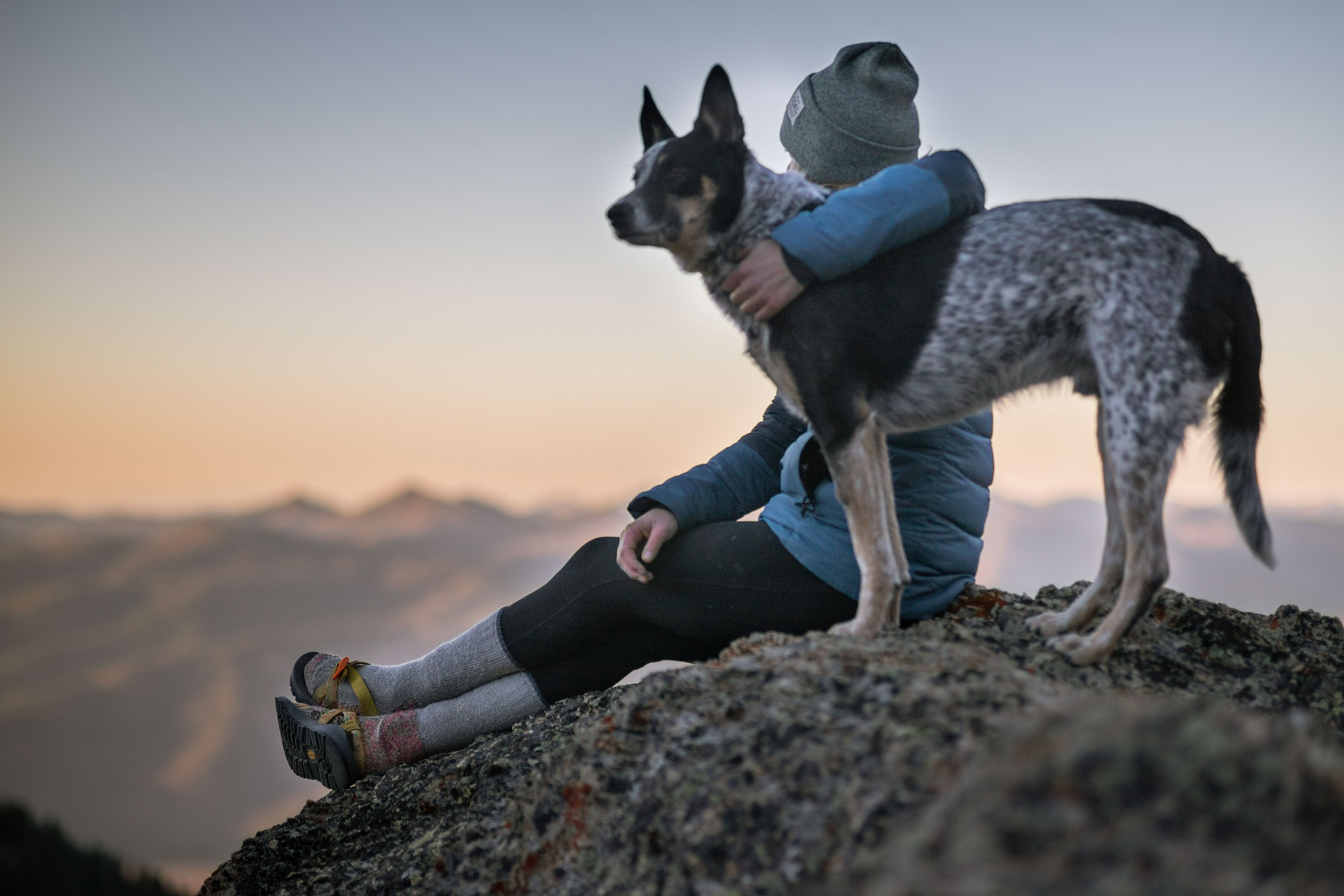 person sitting on mountaintop at sunrise with large black and white spotted dog