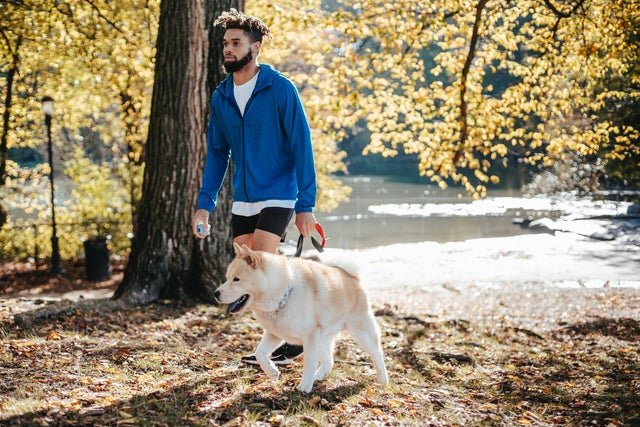 163_diabetes-in-humans-and-animals_unsplash_man-walking-dog.jpeg