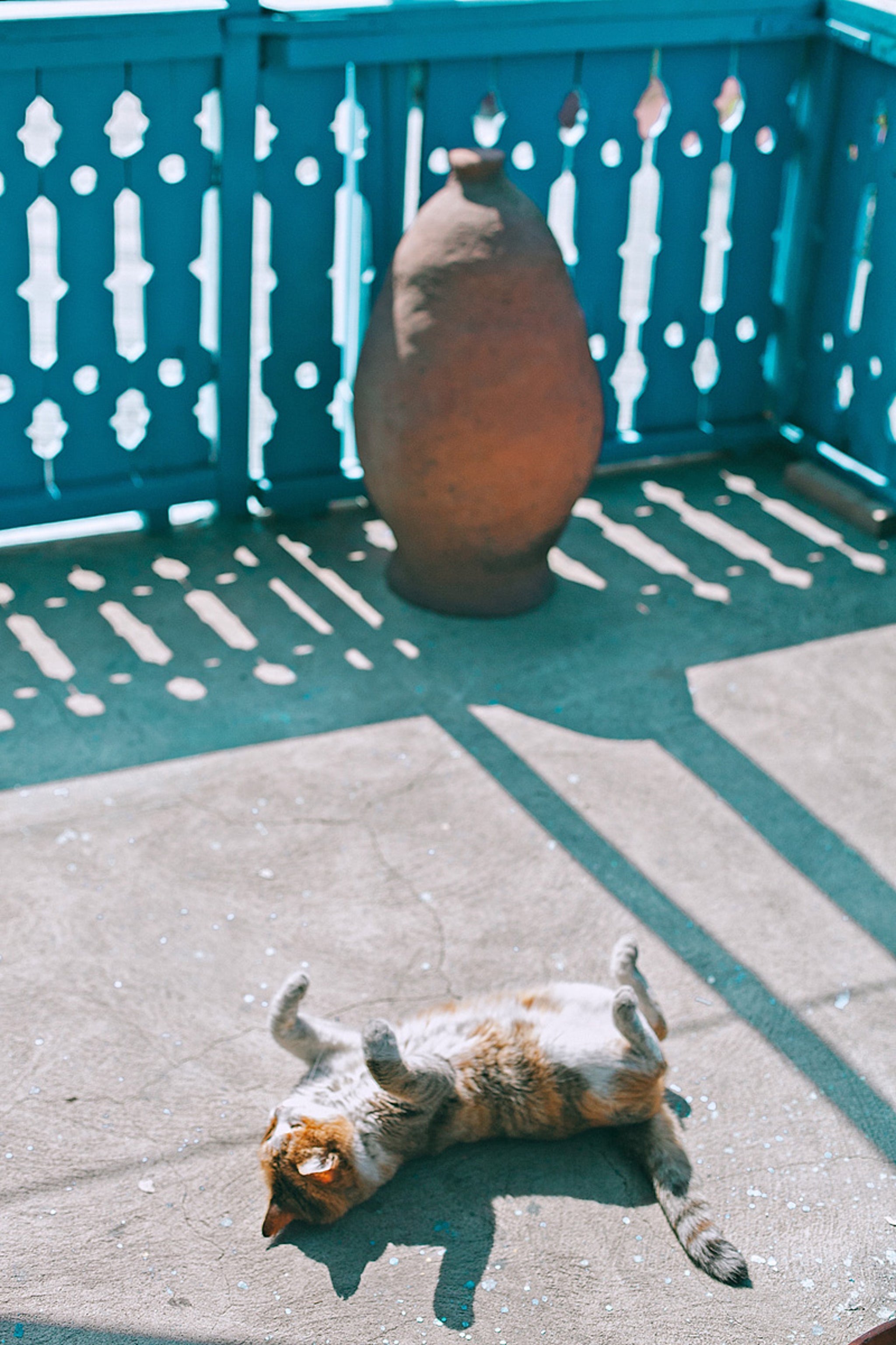 You can construct your cat patio using any materials you like, but make sure it has a roof to prevent your cat from escaping.