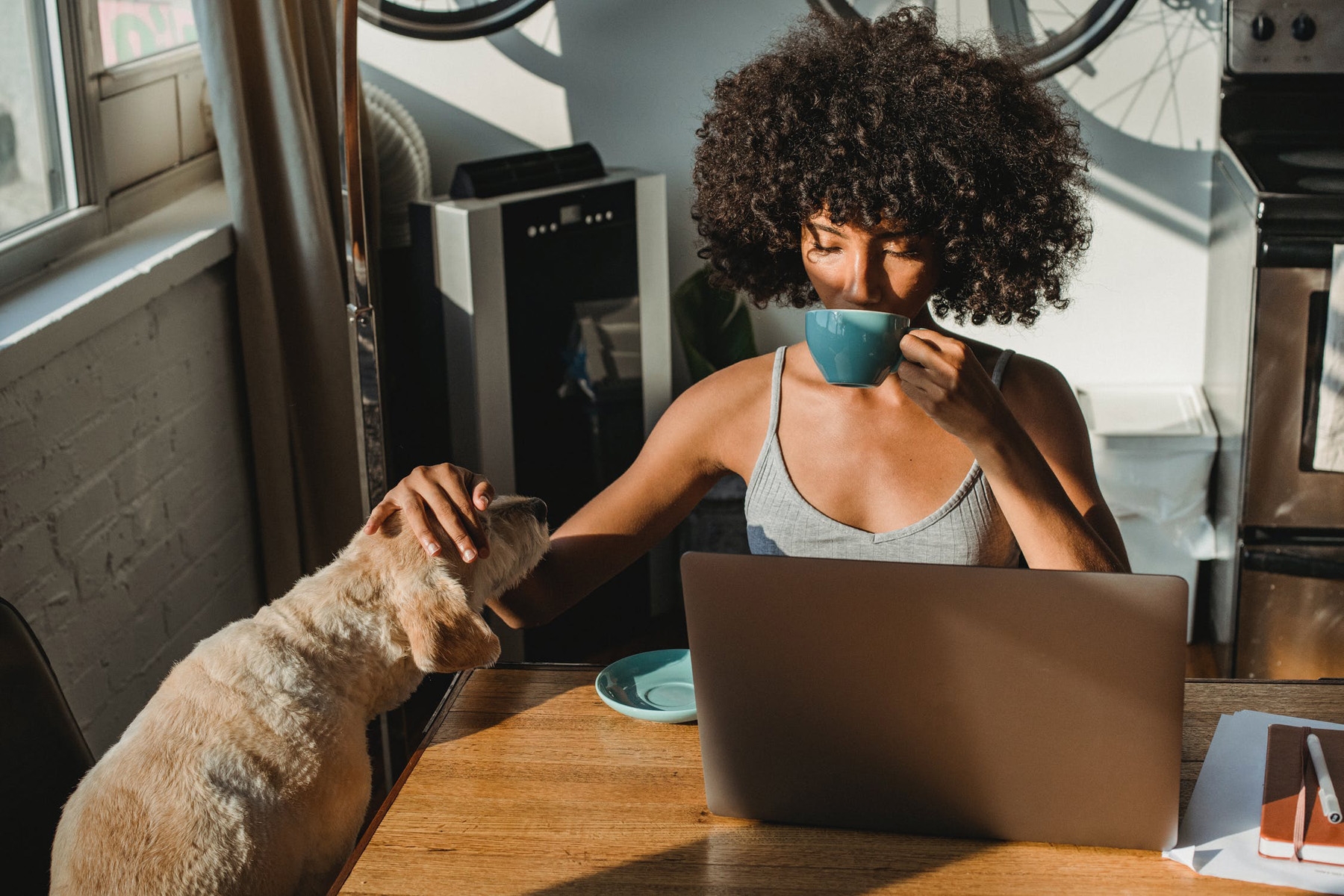 owner reading test results on laptop with dog