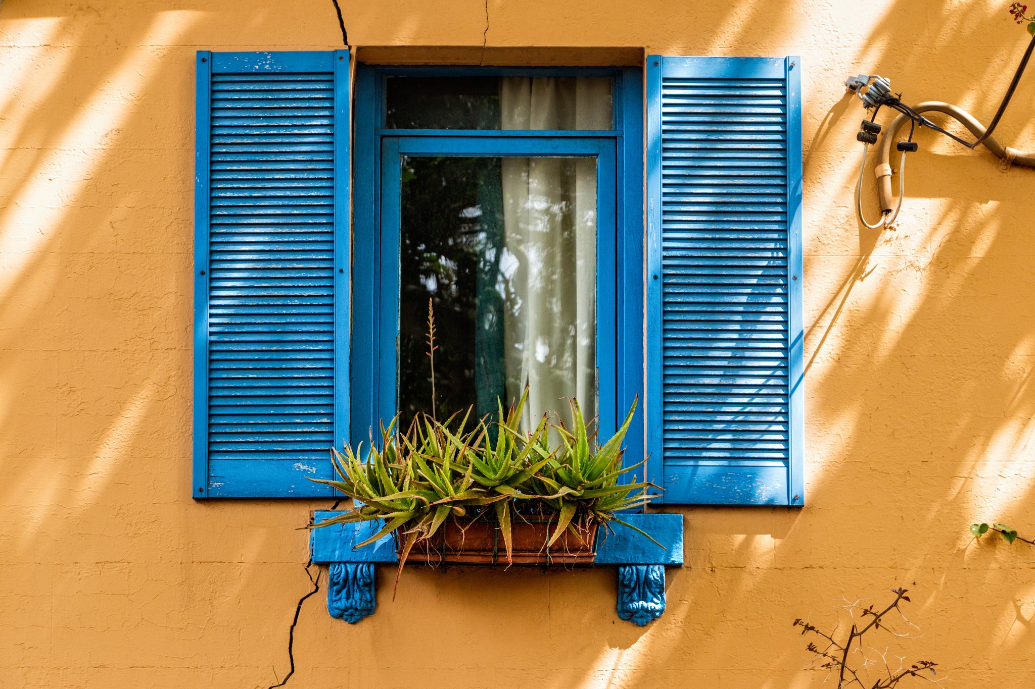 closed window with teal frame and grass sill on coral wall