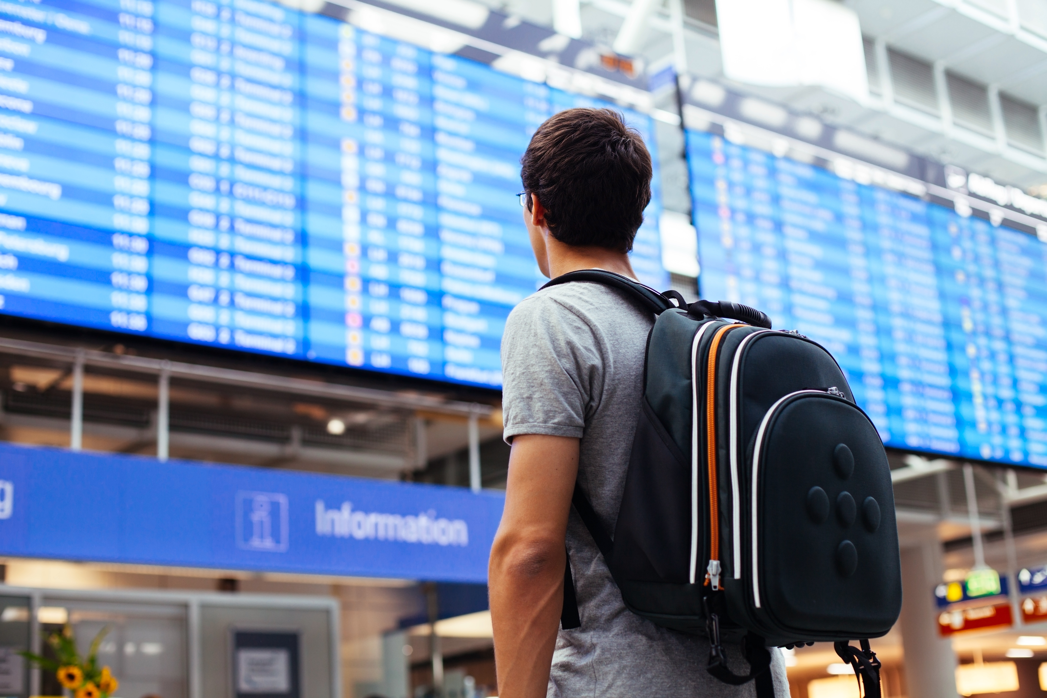 Man at the airport checking the plane schedules before visiting a foreign country to learn a new language with Berlitz