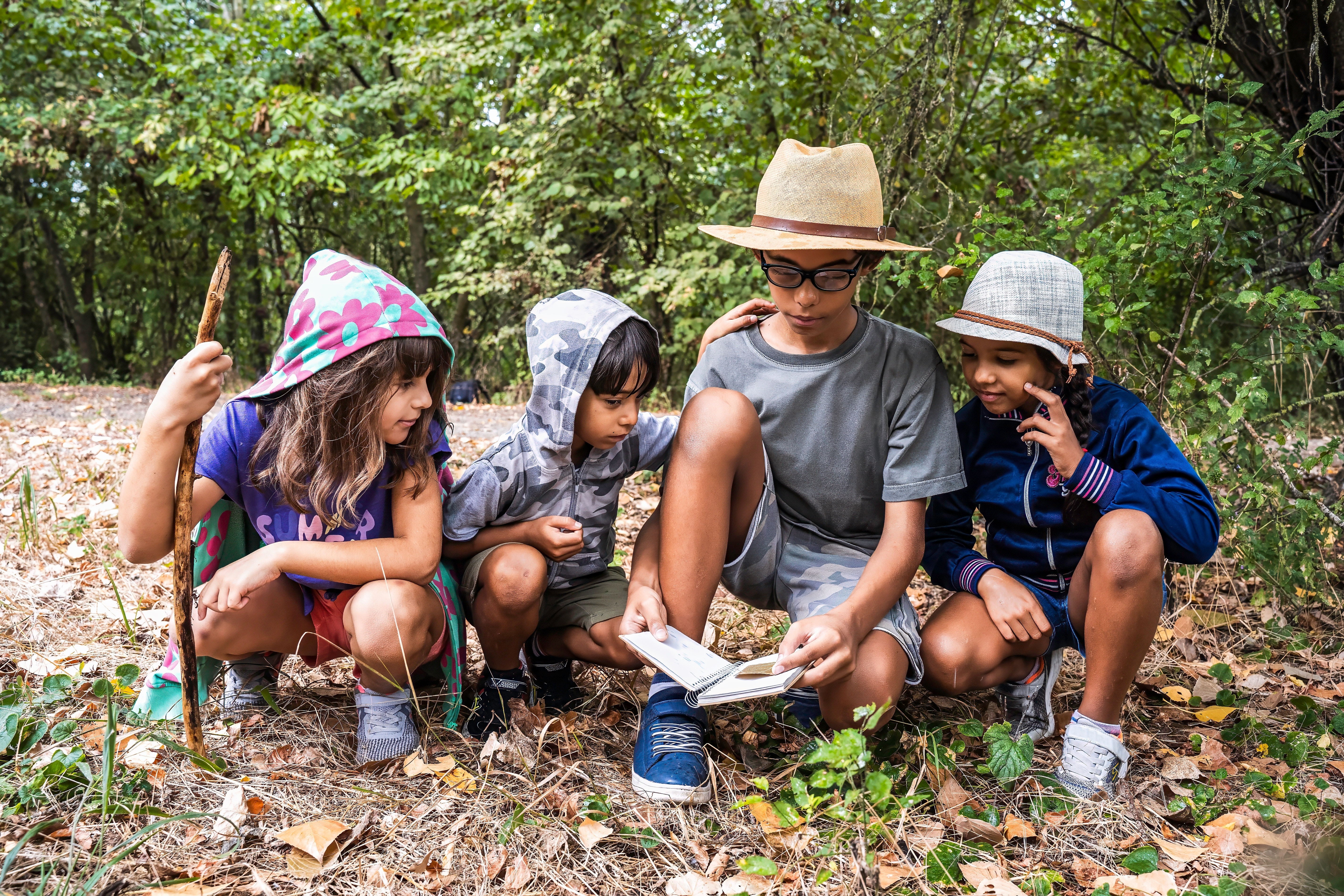 Kids in the woods after their language lesson in a summer camp
