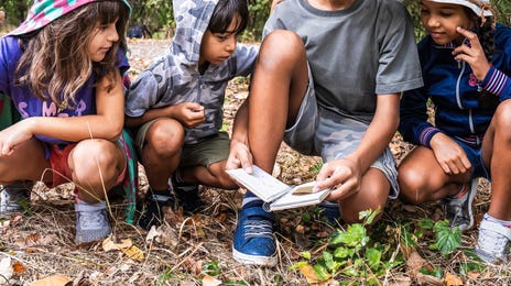 Kids in the woods after their language lesson in a summer camp