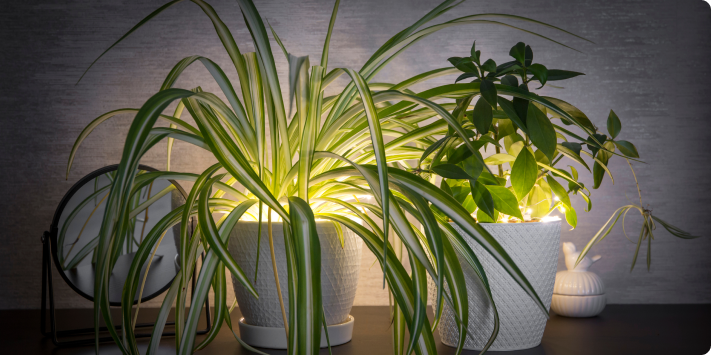 Decoración funcional para jardín pequeño