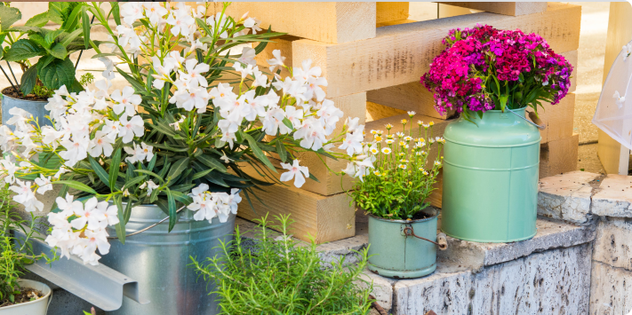 Macetas y jardineras para jardín pequeño