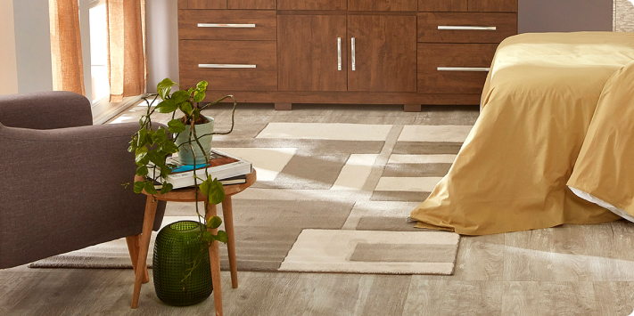 Plantas para renovar tu habitación