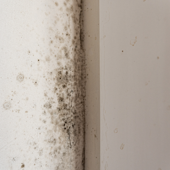 Falta de ventilación