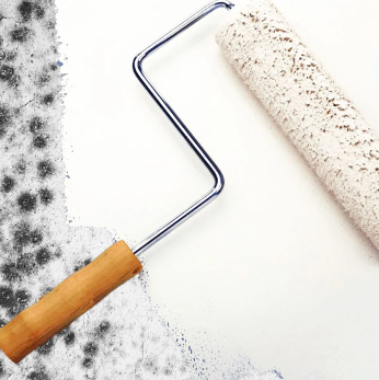 Removedores de hongos