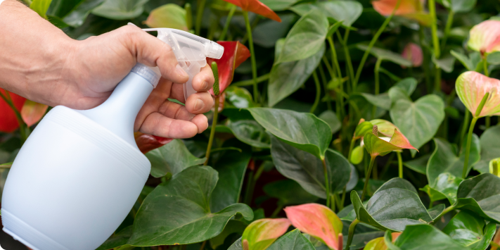 Fertilizante líquido para macetas