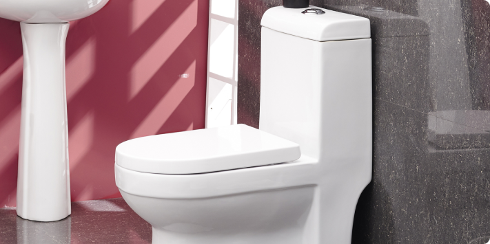 Sistemas de descarga del inodoro